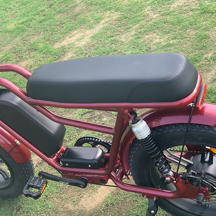 Factory Supply Motorcycle Electric Bike Electric Motorcycle Electric Motorbike 750w electric bike for Adult