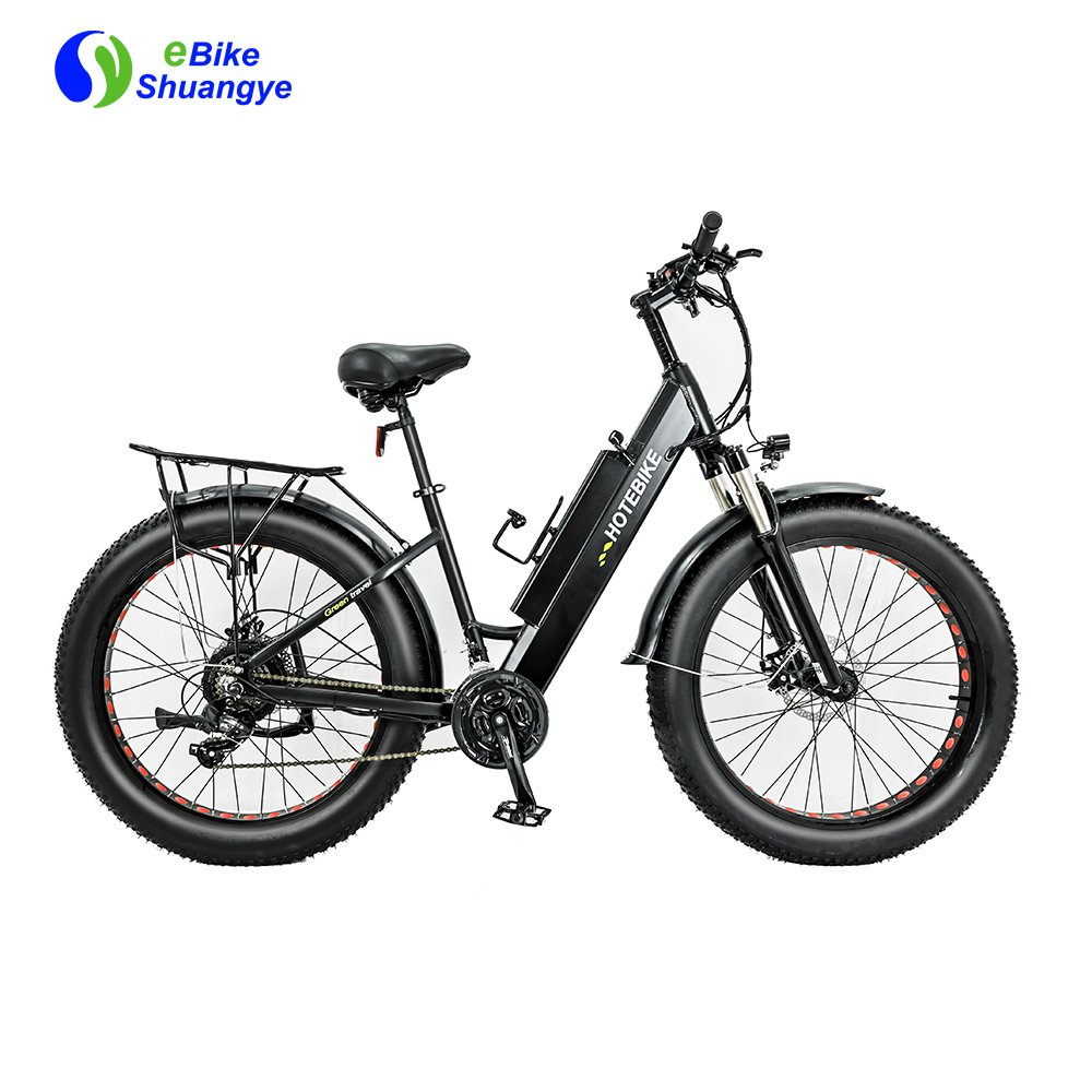 electric bike electric fat bike 250w 350w city ebike electric bicycle bicicleta eltrica electric city bike