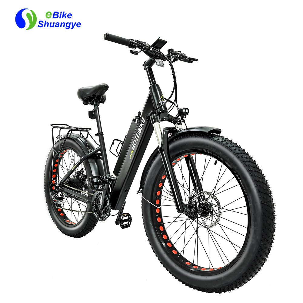 electric bike electric fat bike 250w 350w city ebike electric bicycle bicicleta eltrica electric city bike