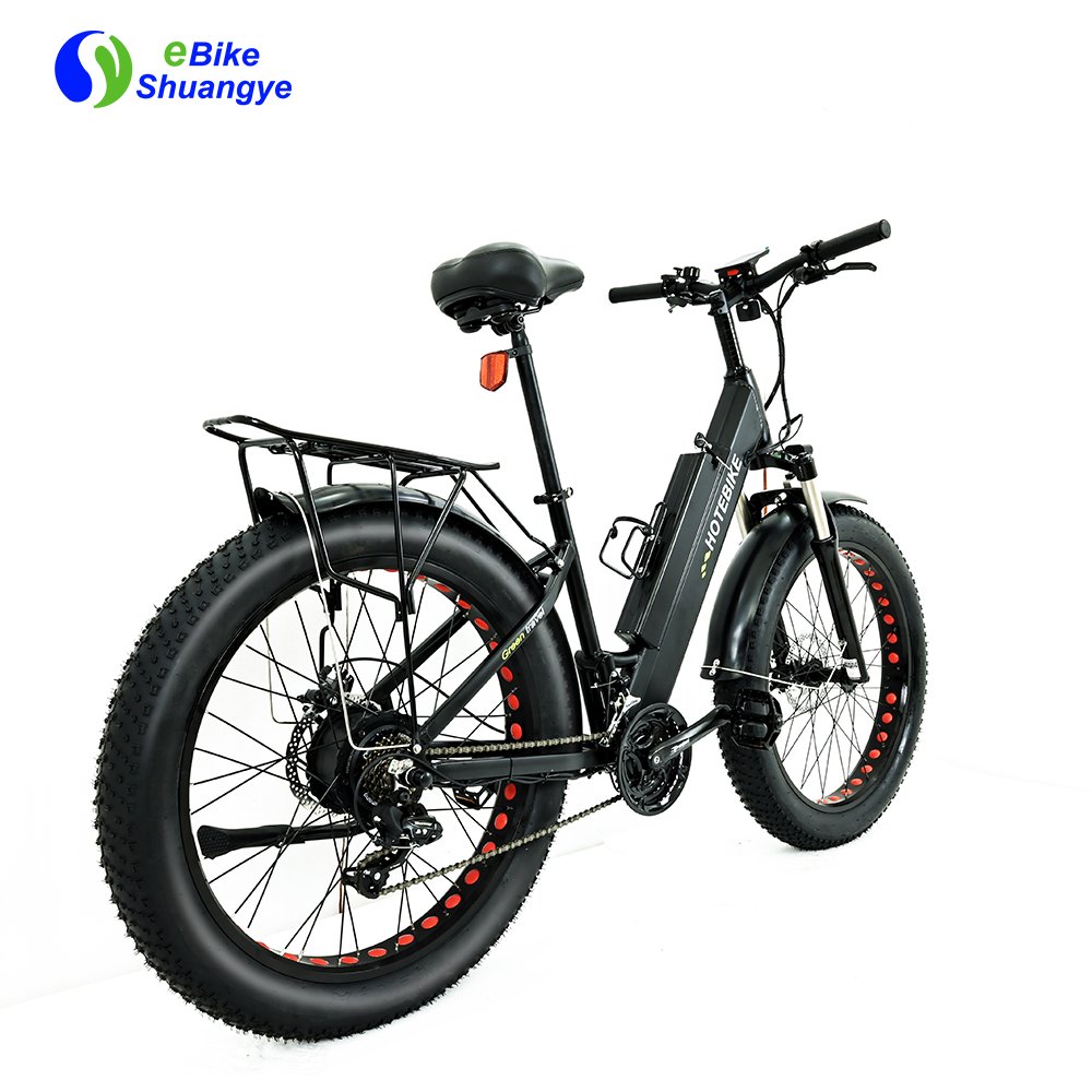 electric bike electric fat bike 250w 350w city ebike electric bicycle bicicleta eltrica electric city bike