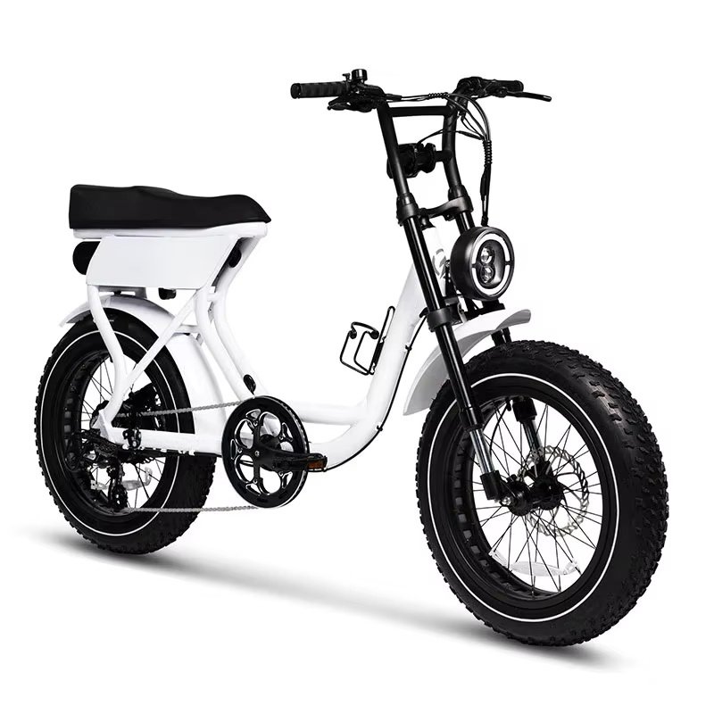 Ebike Factory Price Electric Hybrid Bike City 48V E Bike 750W Fat Electric Bike Fat Tire Electric Bicycle