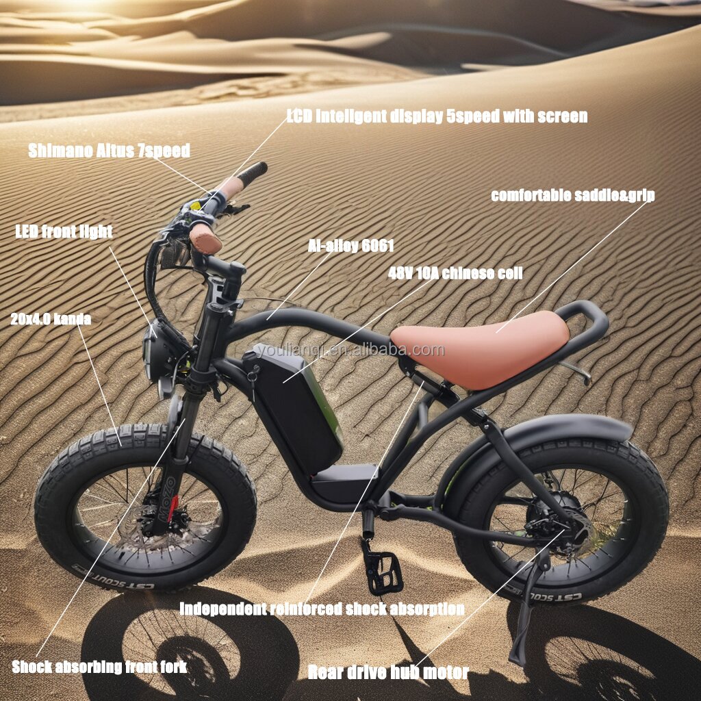 20*4.0 Fat Tire Bafang Motor Electric Mountain Bike Wall Frame Power with 48v Lithium Battery Fun Charging Hub High Torque Time