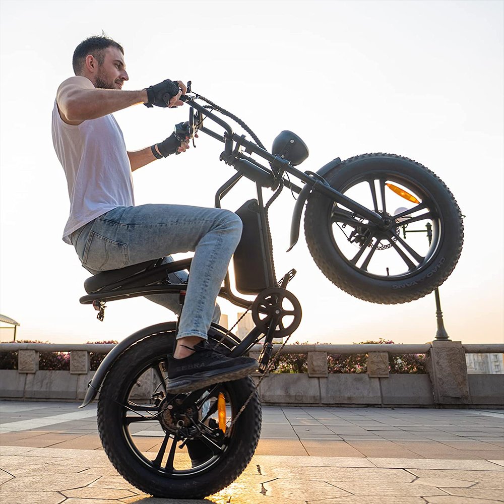 1000w Electric Bike Dual Motor 2022 Adult Long Range e Moped Style 1000w Fat Tyre eBike Electric Mountain Bike EU48v 1000w