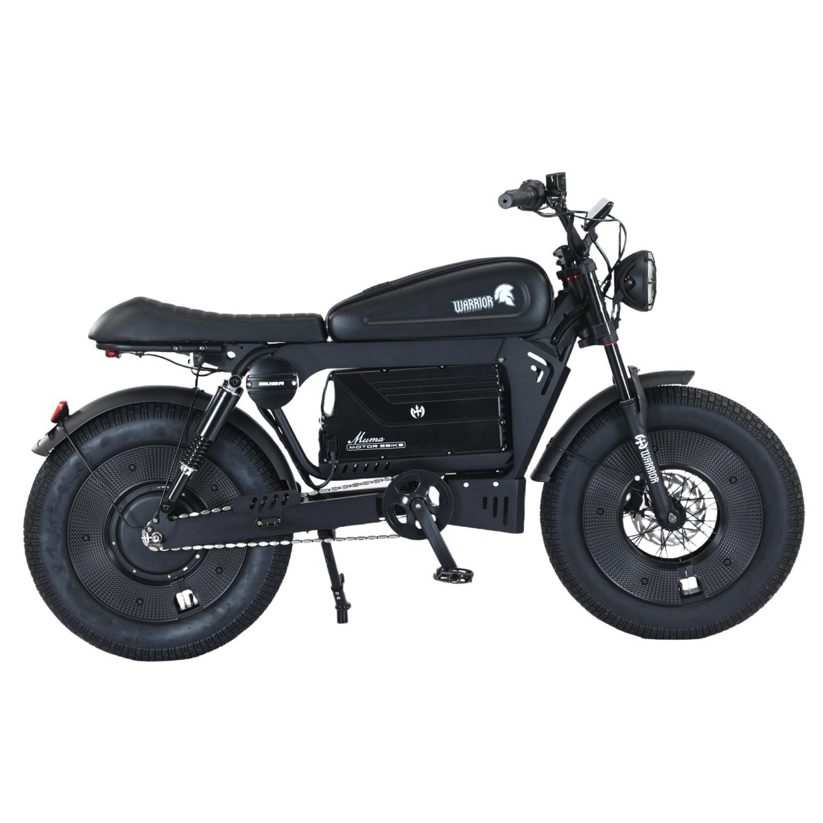 Customisable Logo 20-Inch Aluminum Alloy Electric Mountain Bike Popular 1500W 48V Lithium Battery E-Bike