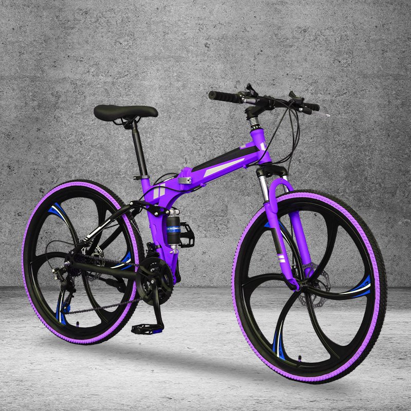 Customized Folding Disc Brake Steel Fork Mountain Bike Cycle