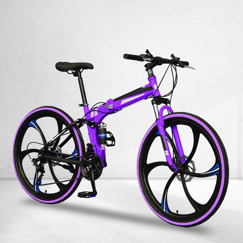 Customized Folding Disc Brake Steel Fork Mountain Bike Cycle