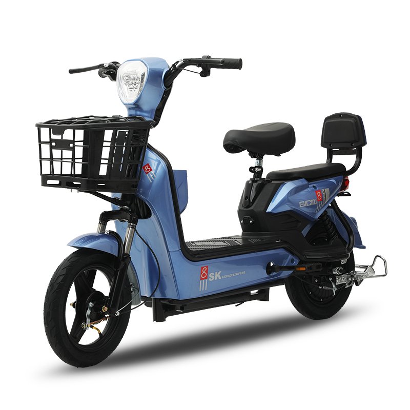 48V 350W Electric City Bike Lead-Acid Battery Cycle Electric Motor Bicycle Electric Powered 60V Ebike