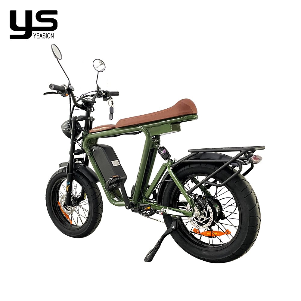 2024 Electric Bike 1000W 48V Electrically Mountain Long Range Fatbike Eu Cheap 20inch Fat Tire Ebike Electric Bike Factory
