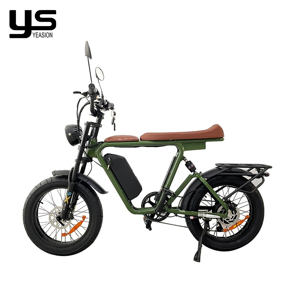 2024 Electric Bike 1000W 48V Electrically Mountain Long Range Fatbike Eu Cheap 20inch Fat Tire Ebike Electric Bike Factory