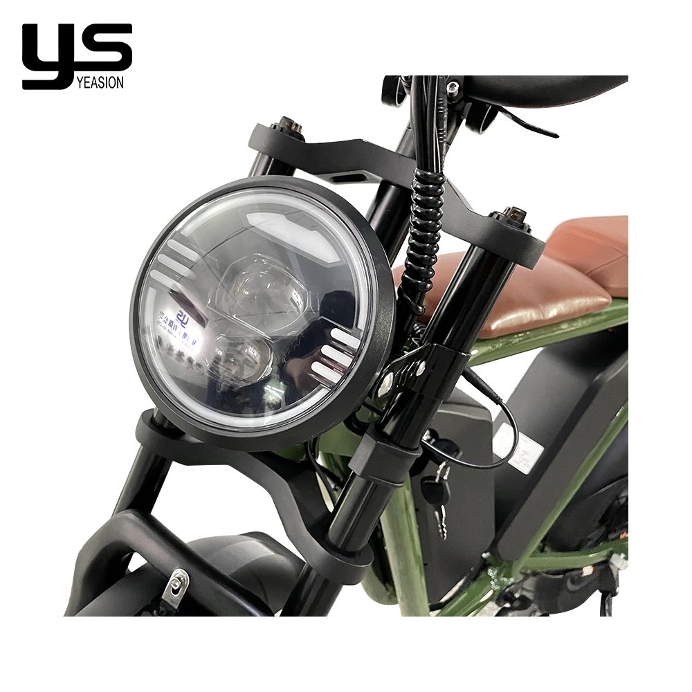 2024 Electric Bike 1000W 48V Electrically Mountain Long Range Fatbike Eu Cheap 20inch Fat Tire Ebike Electric Bike Factory