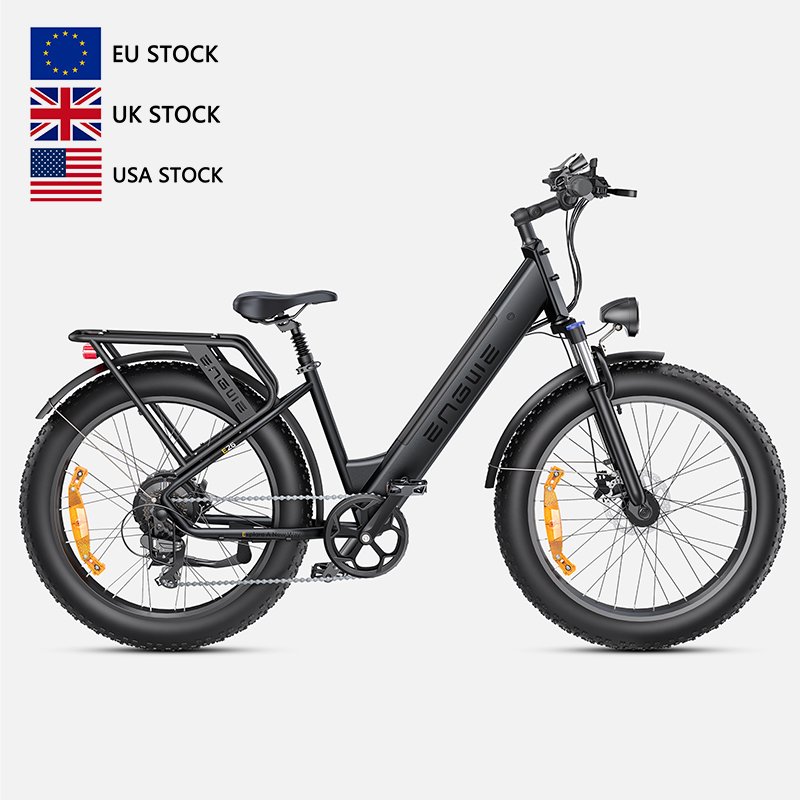 Drop shipping ENGWE E26-ST-EU Oil brake fat snow tires 250w 140KM Famale version new Electric mountain bike 26*4.0 inch 48v16ah