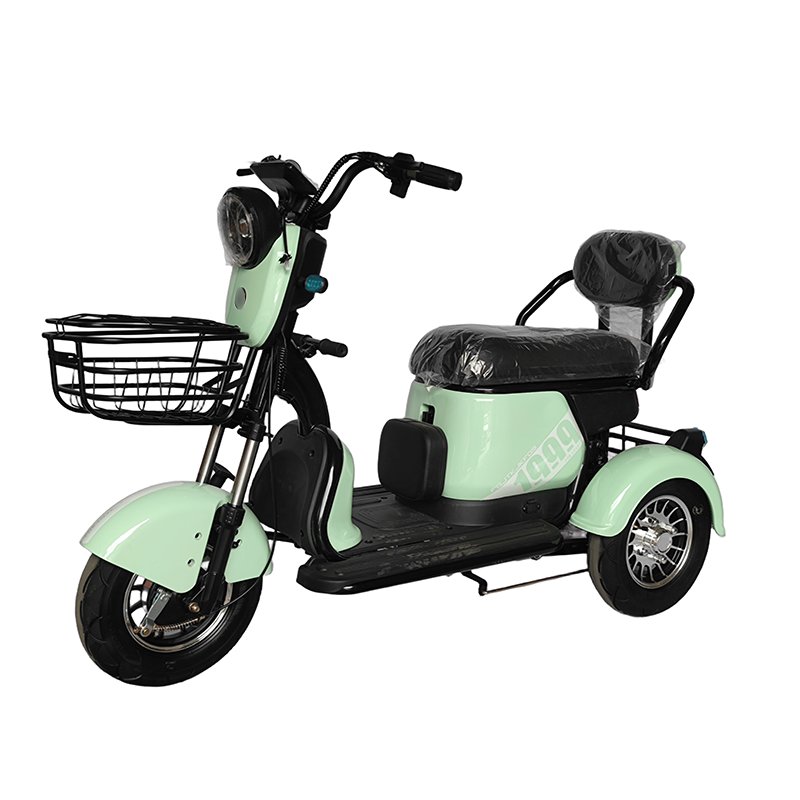 2 passenger 3 wheel electric sport drift city passenger bike 250w seniors 3 wheel electric bike for old man