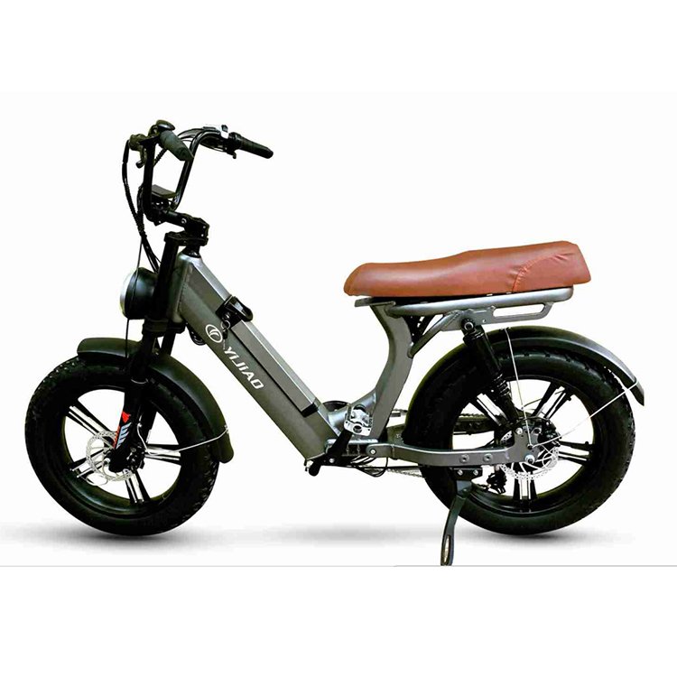 Family Food Cargo Delivery E Bicycle E-cargo Ebike E-bike Electric City Bike