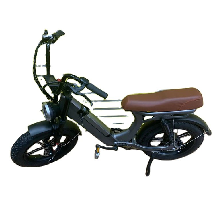 Family Food Cargo Delivery E Bicycle E-cargo Ebike E-bike Electric City Bike