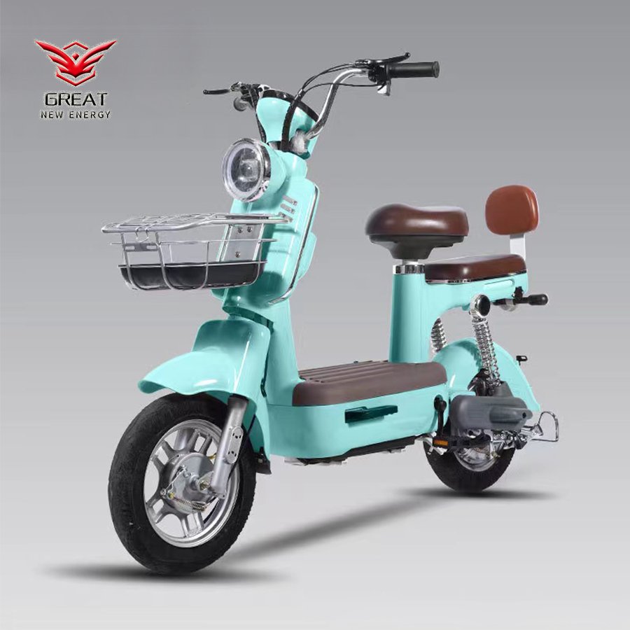 Custom Motor Electric City Bike Lead-Acid 48v12a Lithium Battery E Bike High Power Fast Fatbike 14 Inch Electric Bike