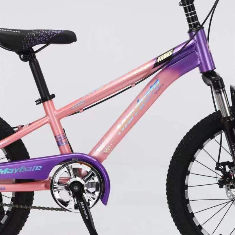 TANKE Hot Sale Mountain Bike Large Wheel Adults Bicycle Steel Fork Disc Brake Single Speed Gears Ordinary Pedal Students