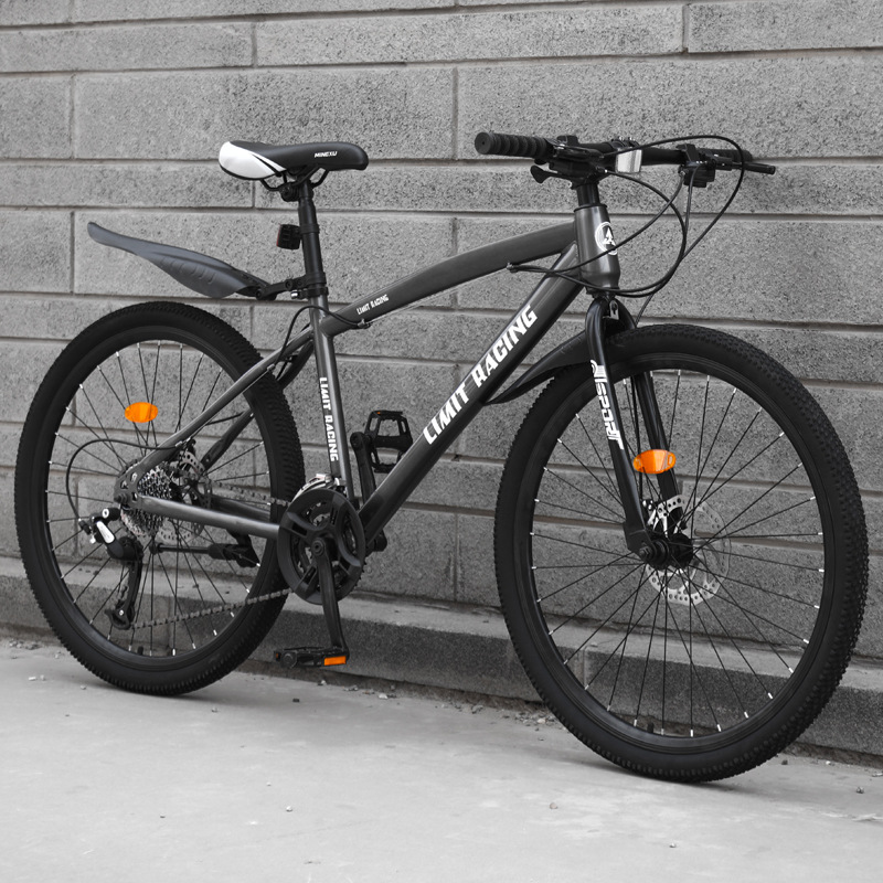 Fat Mountain Bike Variable Speed mountainbike Bicycle Adults Student Children Road 26 Inch bicicleta mountain bike