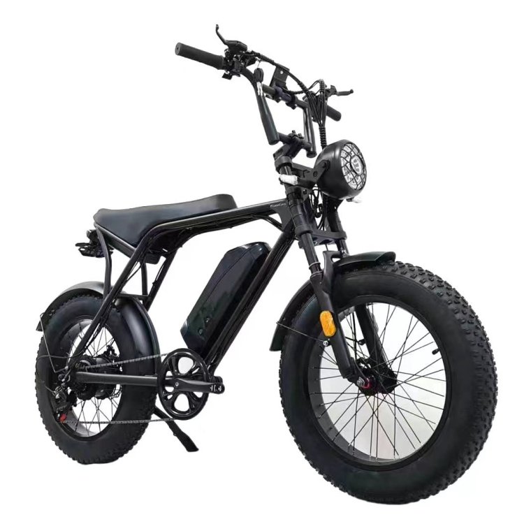 OffRoad E-Bike Integrated Seat Thick Inflatable Tire 500W 48v 1000W Lithium Battery Mountain Bike Adult High Speed Electric Bike