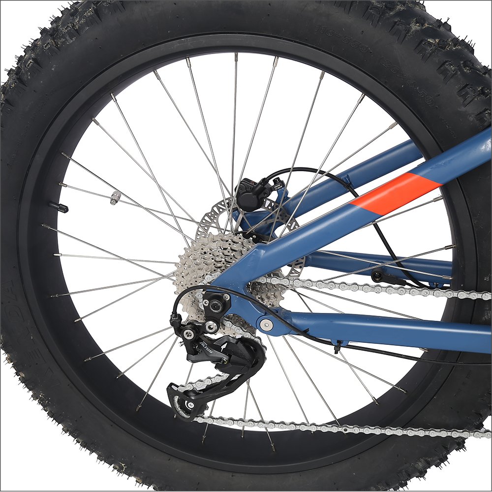 Ereal MT16 Full electric E-bike 48V 1000W BAFANG middle motor fully electric mountain bike Aluminum Alloy frame best E-mtb
