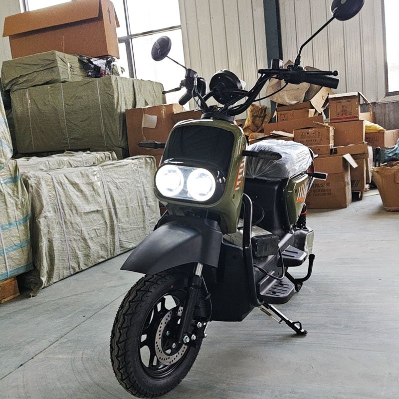 china bicicleta electrica new electric city bike bicycle scooter 500W/800W/1000W Motor e bike electric motorcycle