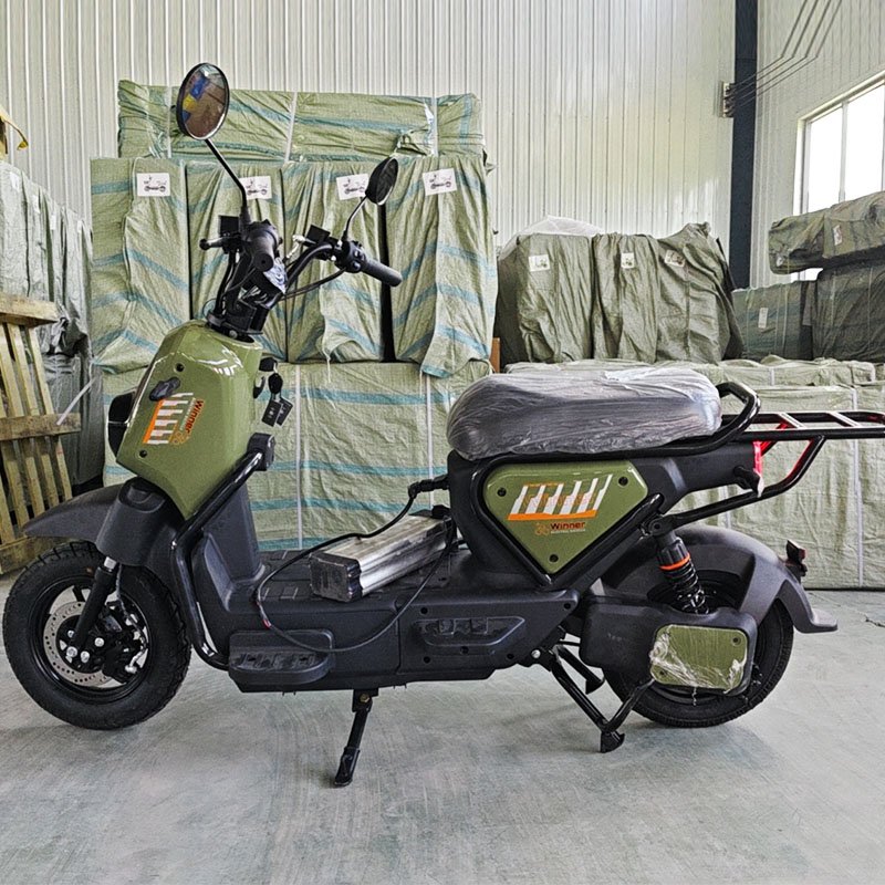 china bicicleta electrica new electric city bike bicycle scooter 500W/800W/1000W Motor e bike electric motorcycle
