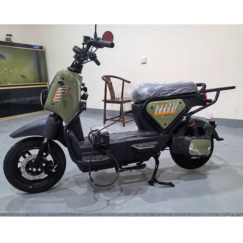 china bicicleta electrica new electric city bike bicycle scooter 500W/800W/1000W Motor e bike electric motorcycle