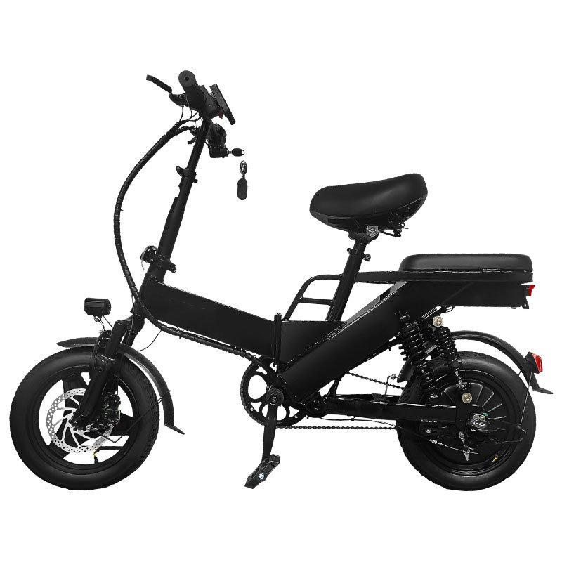 2025 factory price electric mountain bike 48V unisex foldable frame 400w vibration damping system bicycle electric bicycle
