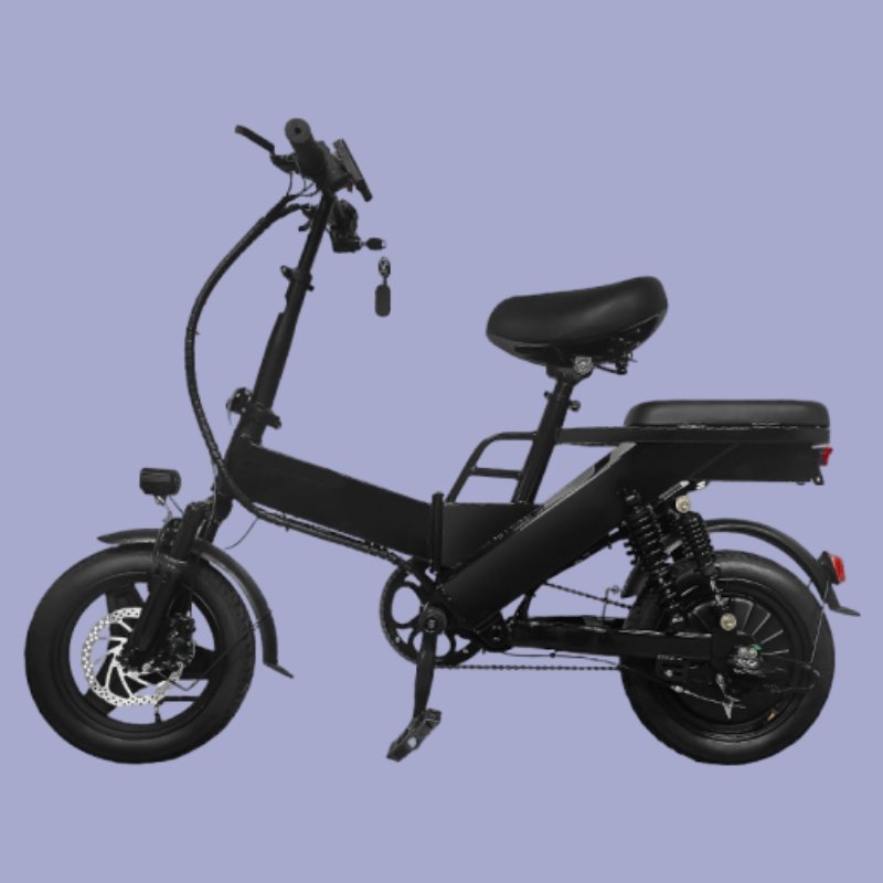2025 factory price electric mountain bike 48V unisex foldable frame 400w vibration damping system bicycle electric bicycle