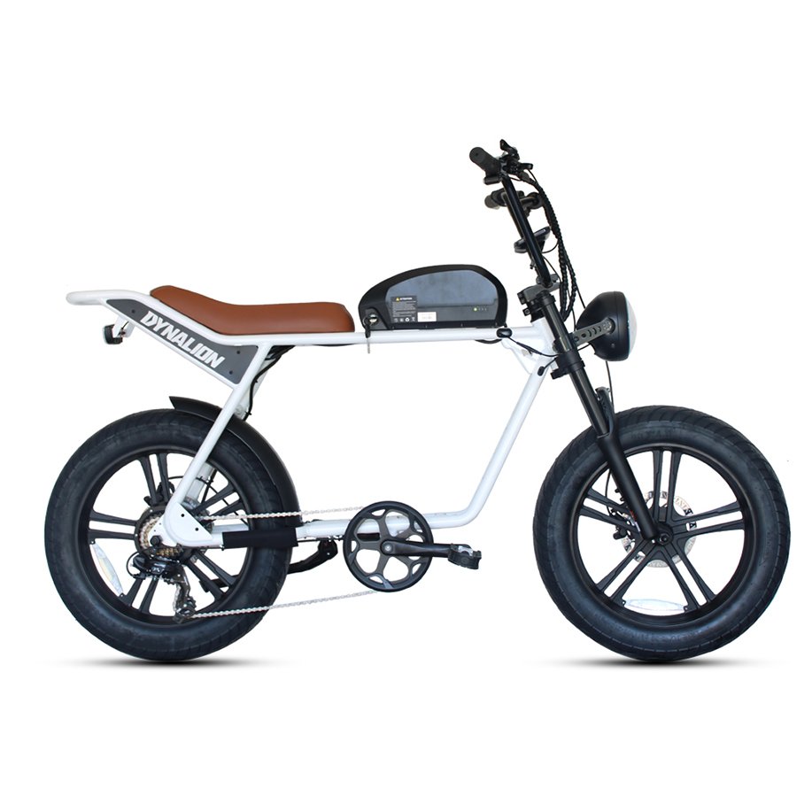 Factory Supply Mountain E-bike 1000w 48V High-carbon Steel Electric Bike Adult Bicycles 20 inch Electric Bikes
