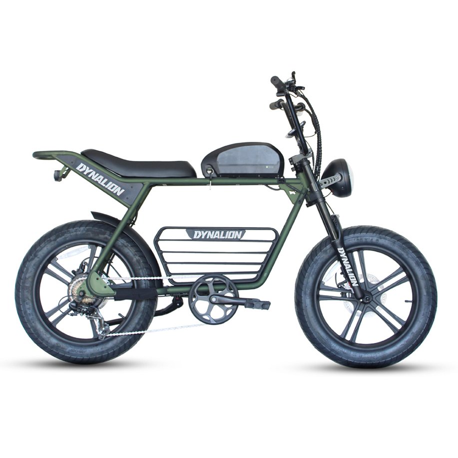 Factory Supply Mountain E-bike 1000w 48V High-carbon Steel Electric Bike Adult Bicycles 20 inch Electric Bikes