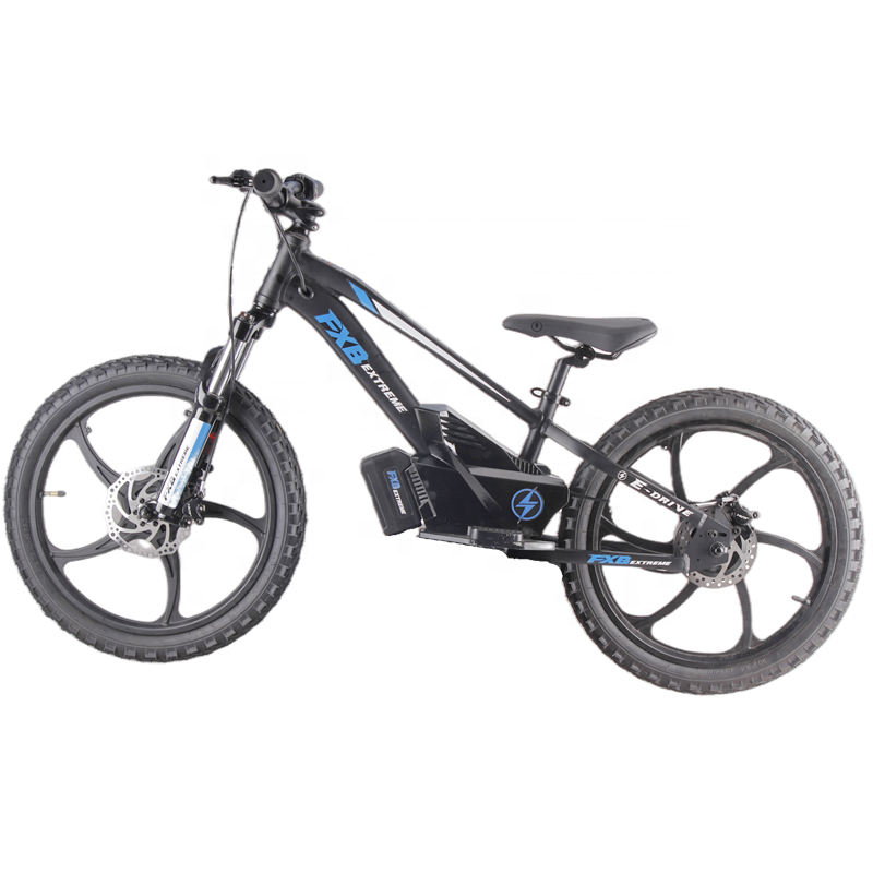 Kids Electric Mountain Bike 20 Inch Colored Kids Bike Bicycle 400W 600W Electric balance bike