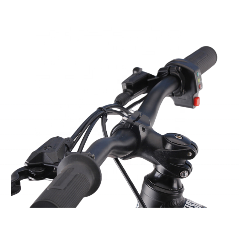 Kids Electric Mountain Bike 20 Inch Colored Kids Bike Bicycle 400W 600W Electric balance bike