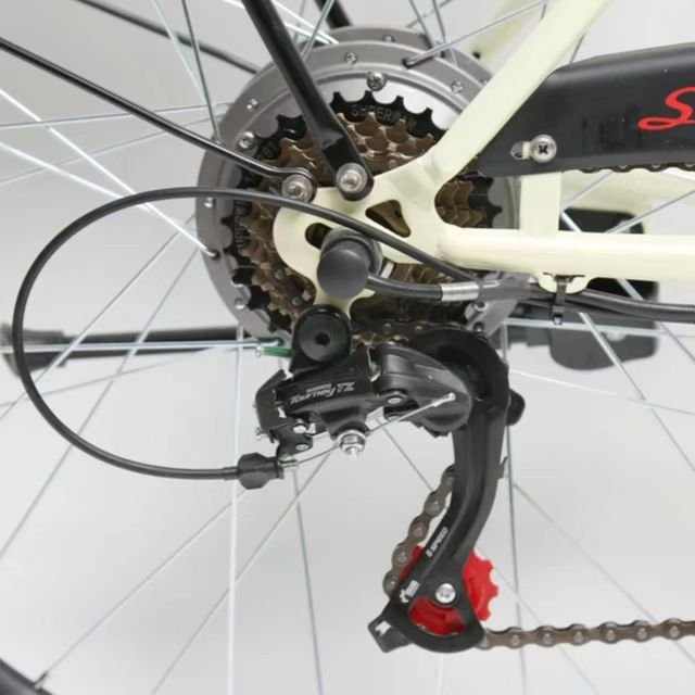 SL-EAC2436-21S Aluminum Shimano Electric Bicycle City bike quality electric bike bicyc E bike