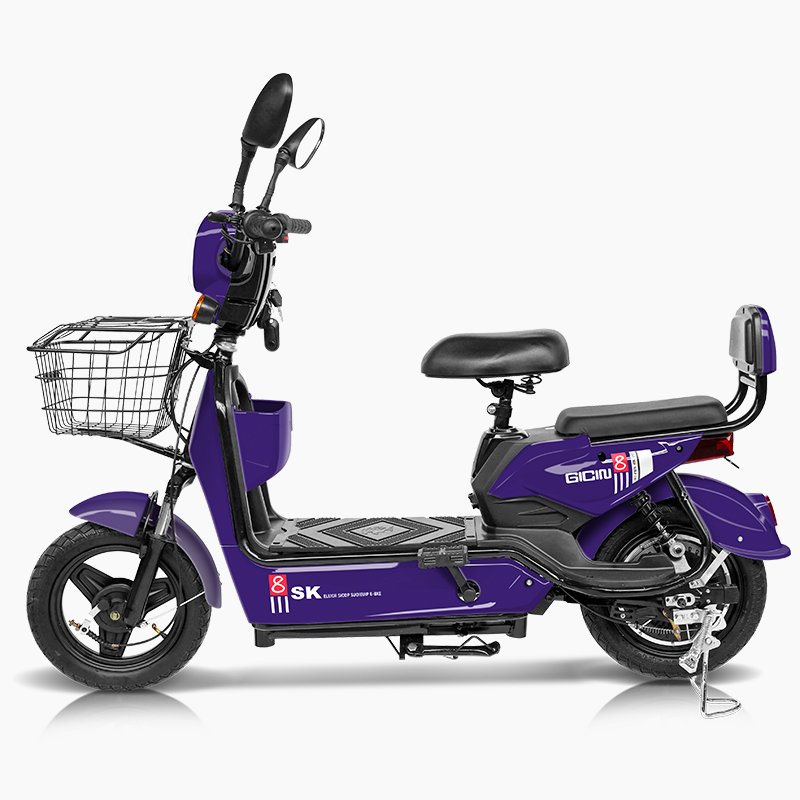 Fulong electric bicycle 48V12A e bike Electric dirt bike Low price outdoor electric vehicle 350W other Electric bike
