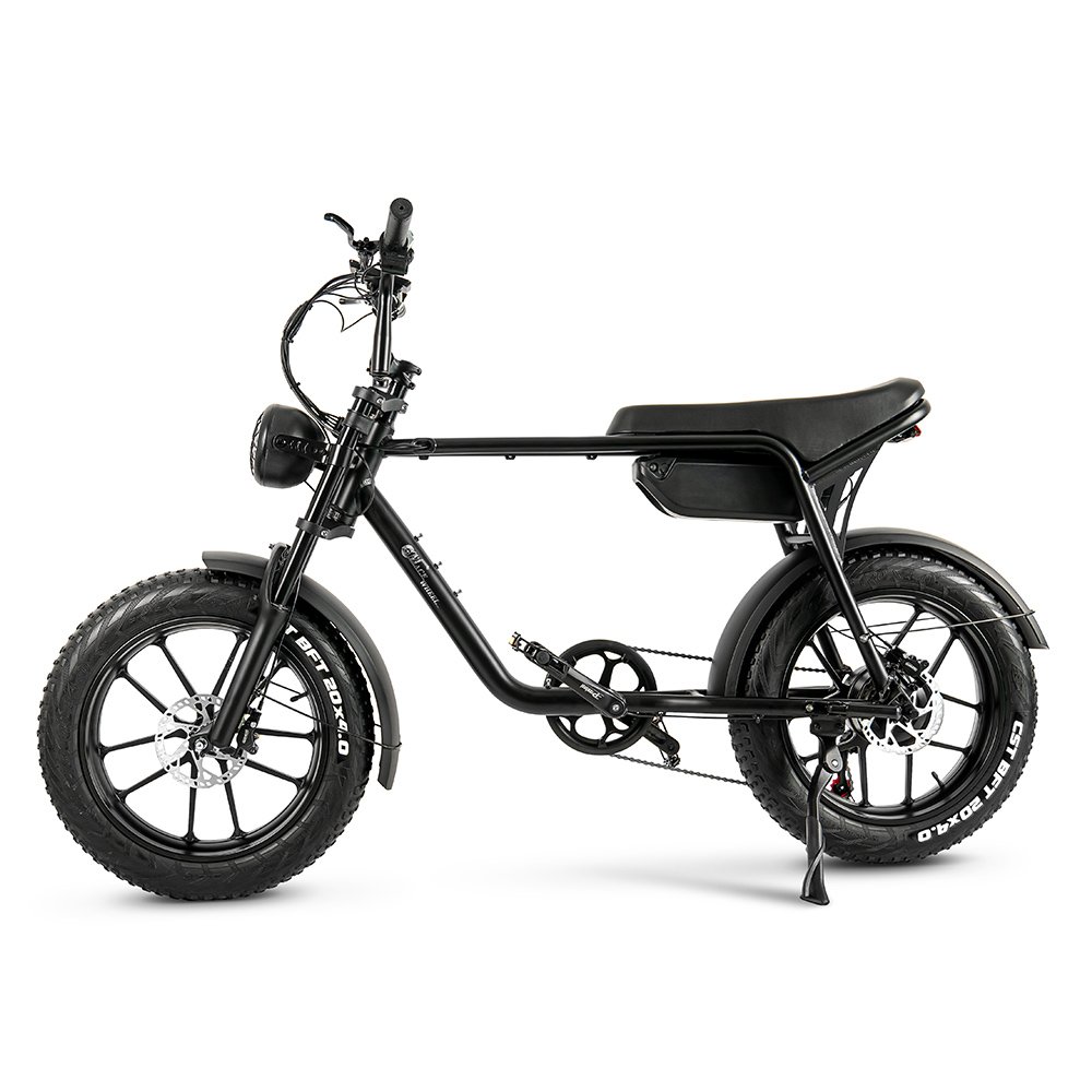 Electric Folding E-Bike with 20 Inch Tire 48V 5 Speed 750W Motor adult fat tire beach electric bike long seat custom e-bike
