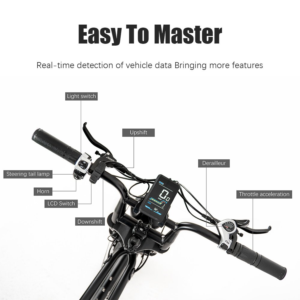 Electric Folding E-Bike with 20 Inch Tire 48V 5 Speed 750W Motor adult fat tire beach electric bike long seat custom e-bike