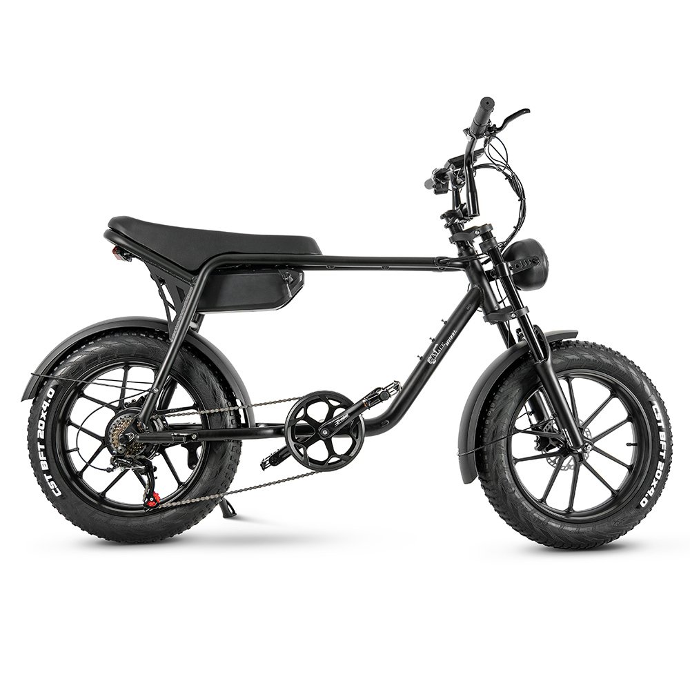 Electric Folding E-Bike with 20 Inch Tire 48V 5 Speed 750W Motor adult fat tire beach electric bike long seat custom e-bike