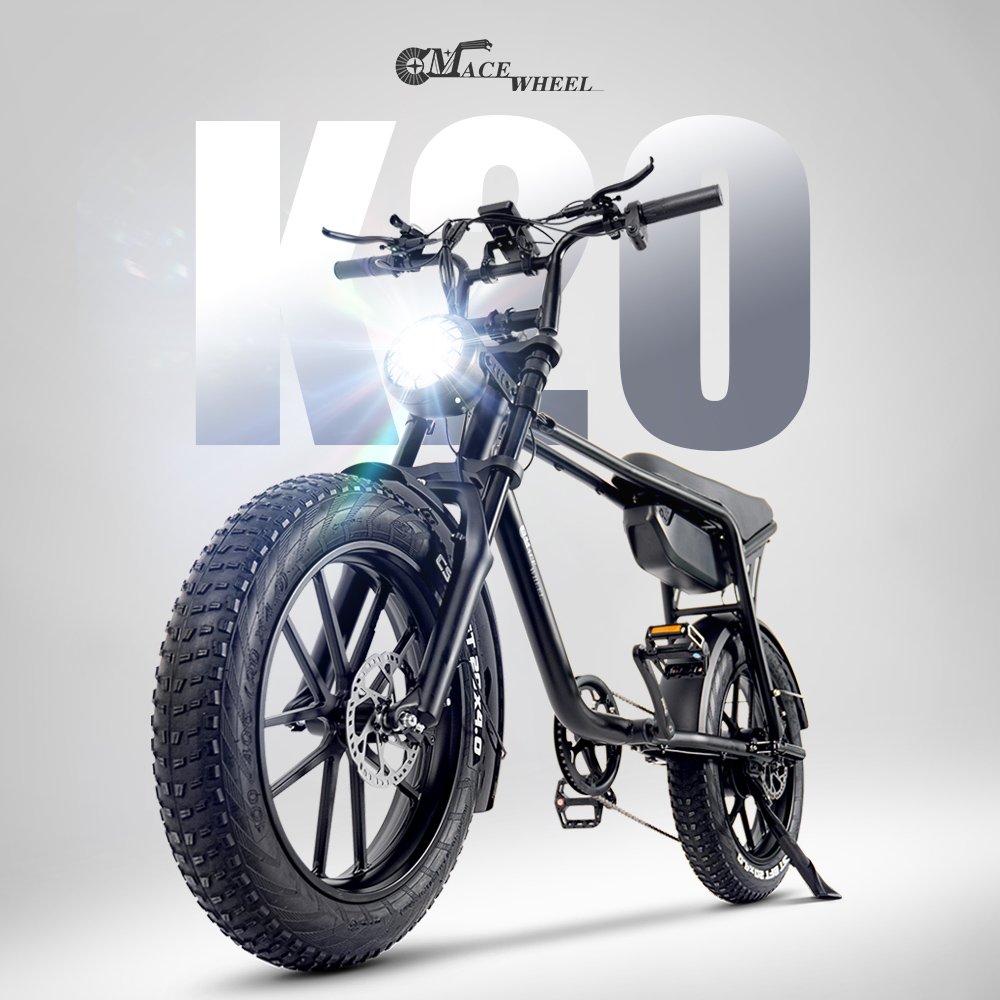 Electric Folding E-Bike with 20 Inch Tire 48V 5 Speed 750W Motor adult fat tire beach electric bike long seat custom e-bike