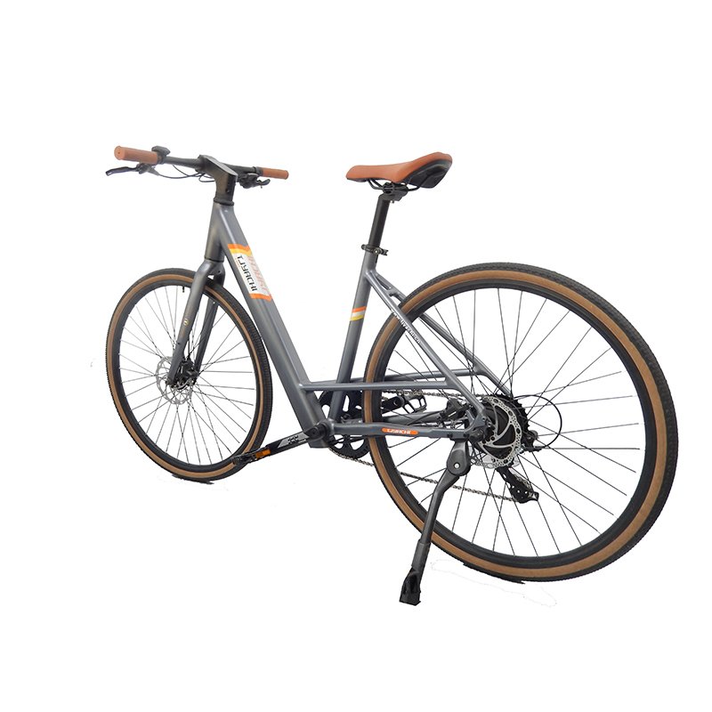 Small Manufacturer's Electric Mountain Bike with Lithium Battery 7 Speed Disc Brake Bicicleta Electrica Bicycle