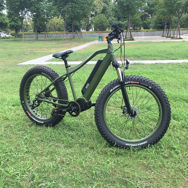 Full Shockingproof Frame Fat Tire Electric Mountain Bike Fat Bike Beach Cruiser bicycle Electric Bicycle