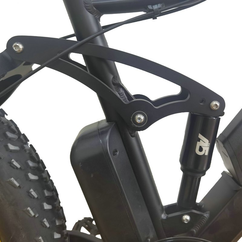 Full Shockingproof Frame Fat Tire Electric Mountain Bike Fat Bike Beach Cruiser bicycle Electric Bicycle