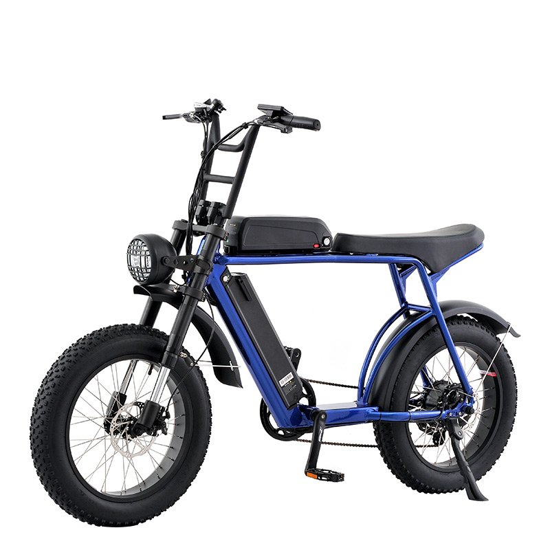 Cheap Model Long Seat Electric Bicycle 48V Lithium Battery City Bike Motorcycle Electric Bicycles for Adult