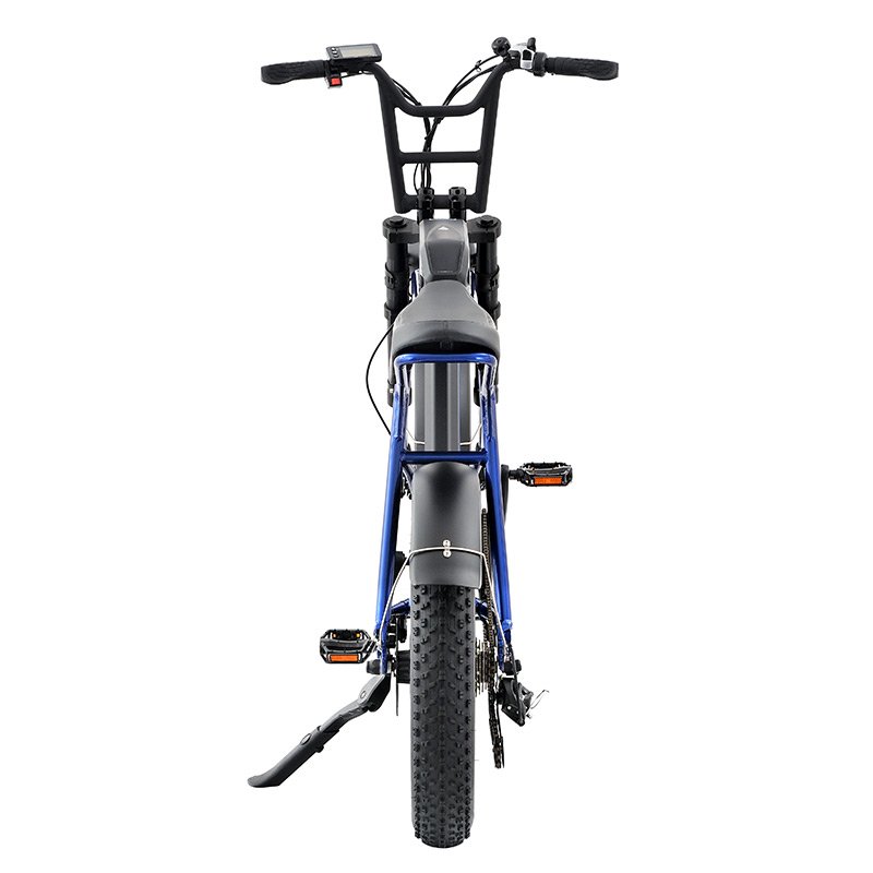Cheap Model Long Seat Electric Bicycle 48V Lithium Battery City Bike Motorcycle Electric Bicycles for Adult