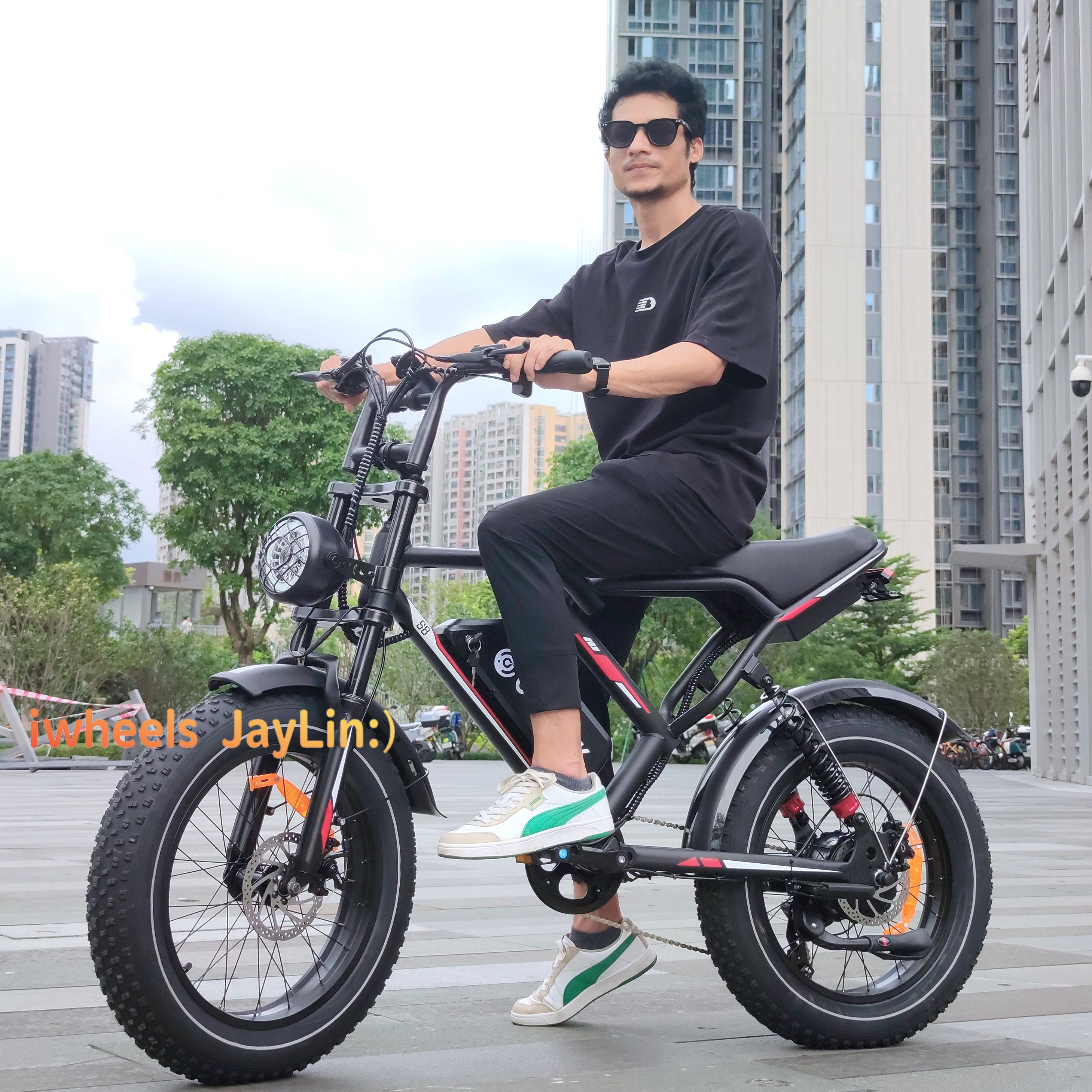 EU NL Stock 48V Electric Fatbike 20inch 250W Netherlands Fietsen V8 V9 G60 Electric City Bike 1000W Road E-Bike Holland Fietsen