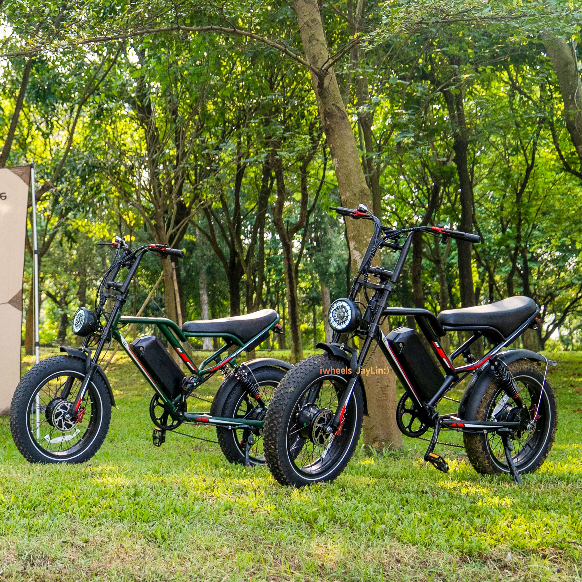 EU NL Stock 48V Electric Fatbike 20inch 250W Netherlands Fietsen V8 V9 G60 Electric City Bike 1000W Road E-Bike Holland Fietsen