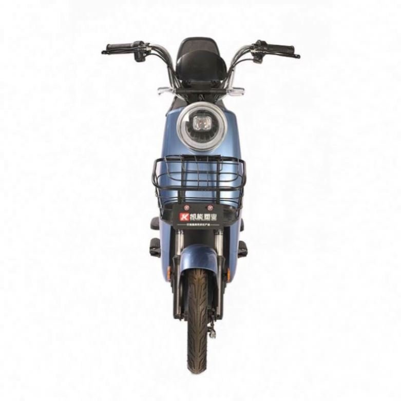 Hot Selling 48v 60v 12ah 350w Carbon Steel Classic Electric Bicycle 2 Wheel Electric City Bike