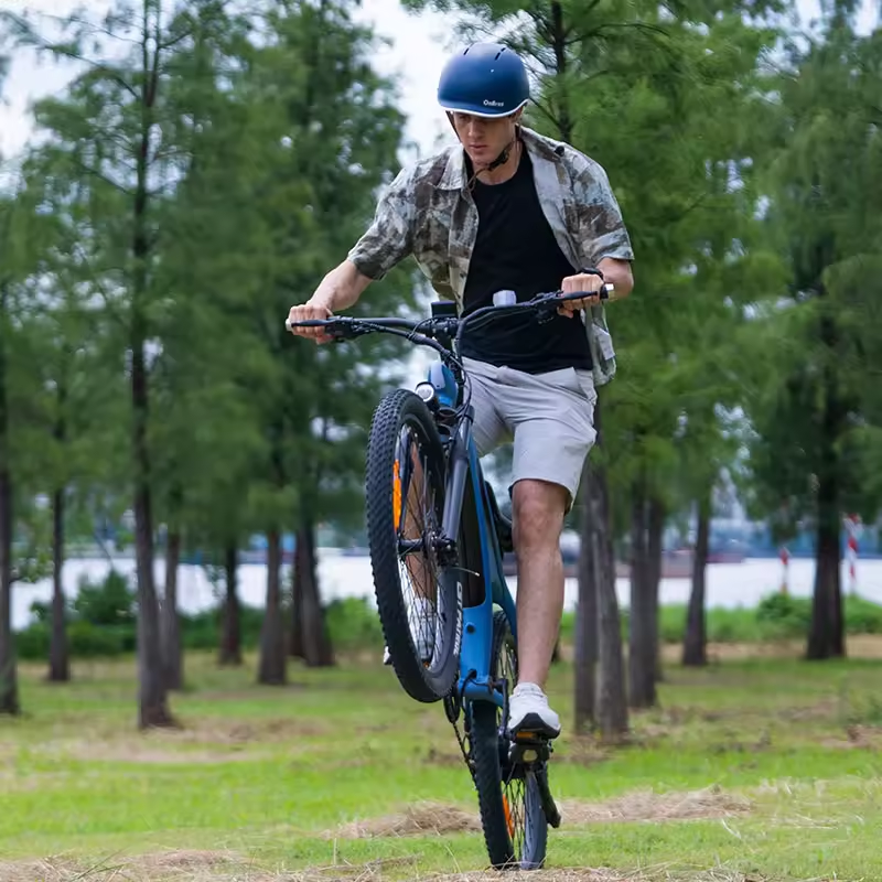 China Factory 9 Speed 48v 26 Inch 27.5Inch Electrically Assisted Bicycles All-terrain Mountain Electric Cycle Electric City Bike