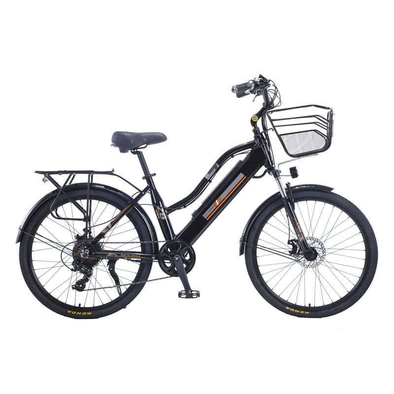 Adult 1000w fast delivery vintage mid drive high range ebike electric bicycle bicicleta electrica electric city bike