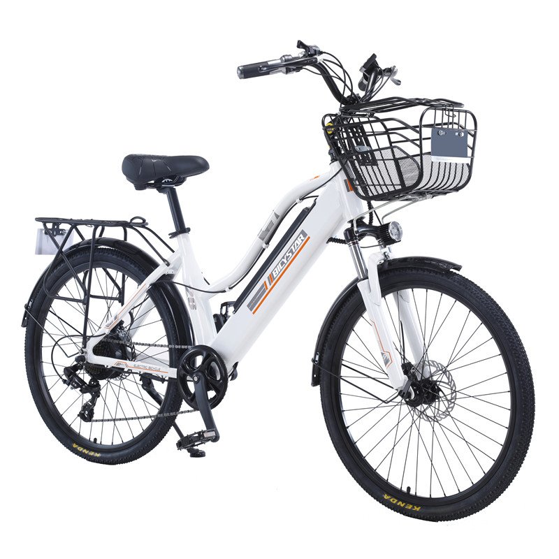 Adult 1000w fast delivery vintage mid drive high range ebike electric bicycle bicicleta electrica electric city bike