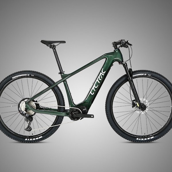 High Quality Off Road Electric Mountain Bike Mountain Bike 29 Inch Mountain E-bike With 12 Speed Adjustment